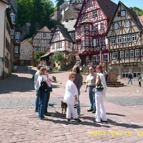 Miltenberg (4)
