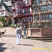 Miltenberg (8)