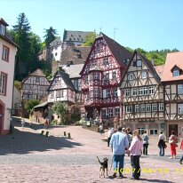 Miltenberg (95)