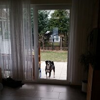 20170129_163619