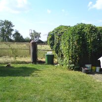 DSC00627