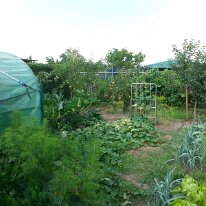 20140727_174059