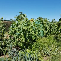 20180701_135250