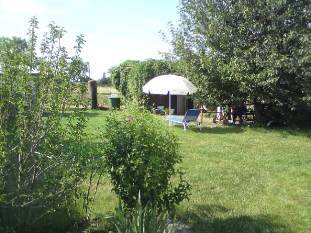2010